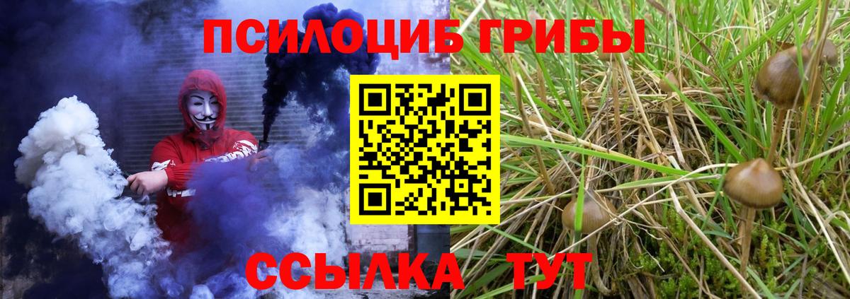 Галлюциногенные грибы мухоморы Соликамск